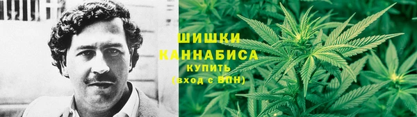 бутират Гусев