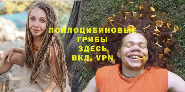 герыч Гусь-Хрустальный