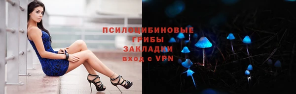 герыч Гусь-Хрустальный