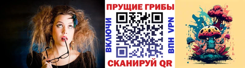 Галлюциногенные грибы ЛСД  Купить закладки  Котовск 